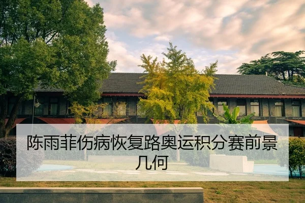 陈雨菲伤病恢复路奥运积分赛前景几何